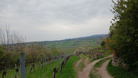 Foto von Peter Froihofer entlang der Tour