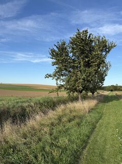 Photo de Barbara Schober le long du parcours
