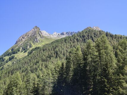 Fotografija s spletne strani Gabriele Cucchi na poti