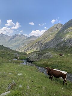 Foto von Natalie Mohr entlang der Tour