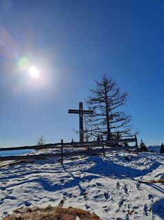 Fotografia z Daniela König 1 na trase