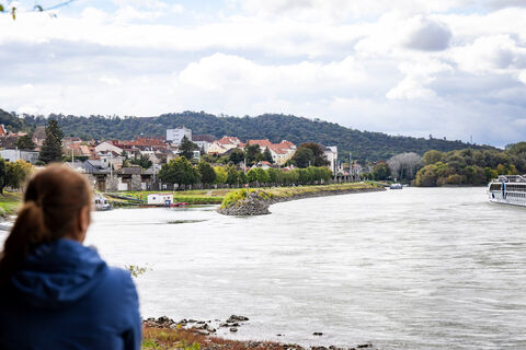Blick auf die Donau bei Hainburg