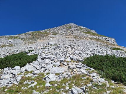 Fotografija s spletne strani Vít Zemánek na poti