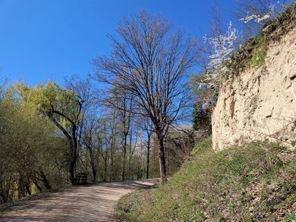 Fotografija s spletne strani Billharz Wilhelm na poti