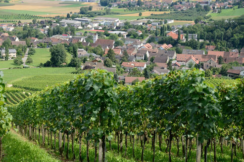 Postauto-Walking-Trail im Schenkenbergertal