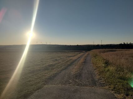 Fotografija s spletne strani Januar Y na poti
