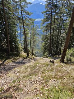 Fotografia z Florian Dürnegger na trase