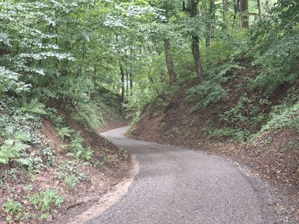 Foto de Grabner a lo largo del recorrido