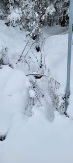 Foto von Nicky entlang der Tour