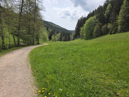 Fotografija s spletne strani W B MA na poti