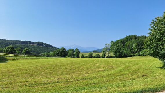 Fotografia z Peter Luger na trase