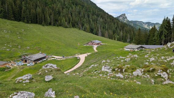 Fotografija s spletne strani Pfefferam na poti