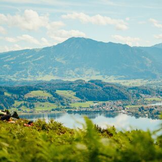 Alpseeblick