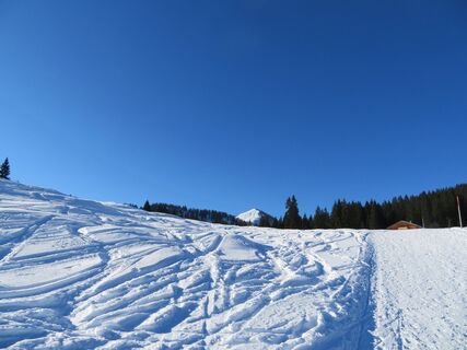 Labenberg mit Dachsteinblick