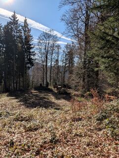 Photo de Juan Tafurth le long du parcours