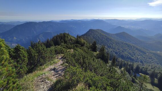 Foto från WilliSt under resans gång