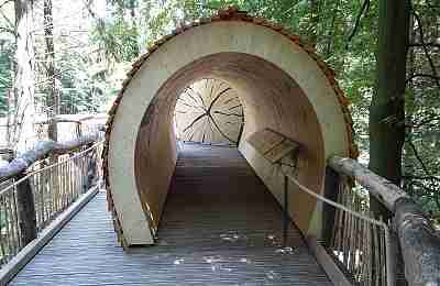 Baumhöhle