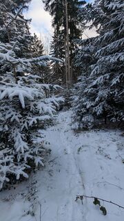 Foto von Hajo Reijinga entlang der Tour