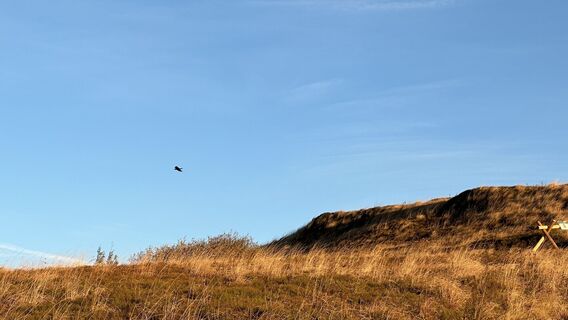 Fotografija s spletne strani Z-Polen na poti