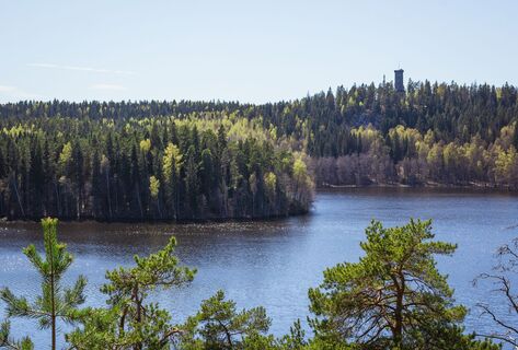 Hämeenlinna/ Aulanko, Finnland