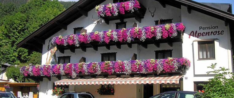 Pension Alpenrose
