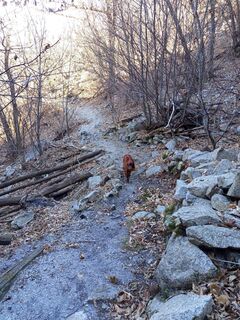Foto de Paolo Paganini a lo largo del recorrido