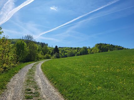 Fotografija s spletne strani BergfexxMaxx na poti