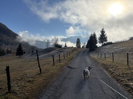 Fotografija s spletne strani Georg Tertsch na poti