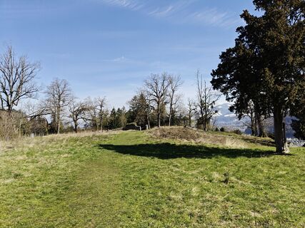 Fotografija s spletne strani Xenia Lange na poti