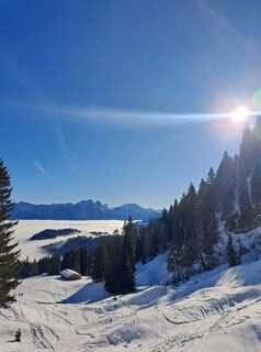 Foto da Michael Rohrmoser lungo il tour