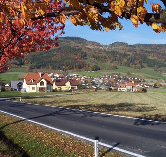 Laimbach am Ostrong (Copyright: Gemeinde Münichreith-Laimbach)
