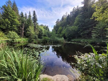 Foto von Susanne Linzbacher entlang der Tour
