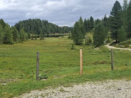 Photo de ferdinand wieländer 1 le long du parcours