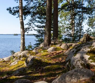 Landschaft des Höytiäinen-Sees