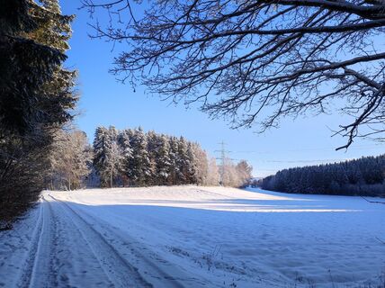 Photo de Peter Bauridl le long du parcours
