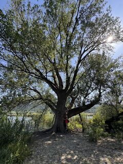 Foto von micaela colombi entlang der Tour