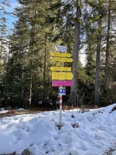 Foto von Doreen Kellner entlang der Tour