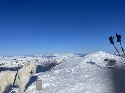 Fotografija s spletne strani Hels Walker na poti