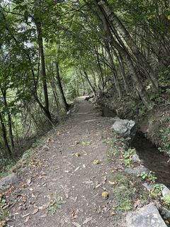 Fotografija s spletne strani f.x.c na poti
