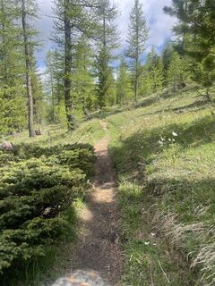 Фото с сайта Olivier meissimilly во время экскурсии