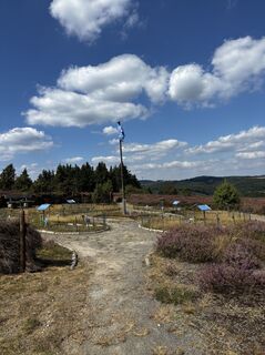 Fotografie z Jan Düber na trase