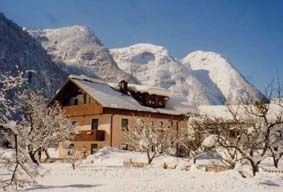 Bauernhof Osl mit Ferienwohnungen