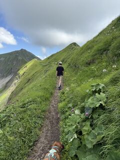 Fotografija s spletne strani Rolf Knecht na poti