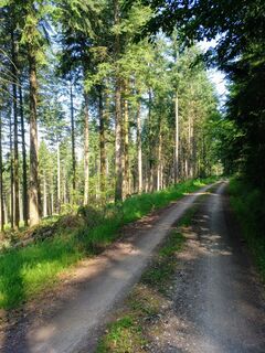 Wanderung auf die Burgruine Grubenhagen
