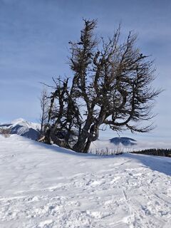 Photo de Bergpirat le long du parcours
