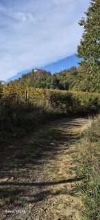 Fotografija s spletne strani Fritz Mitterer na poti