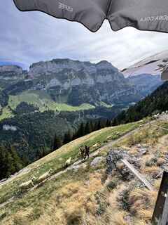 Foto von Marleen Blomsma entlang der Tour
