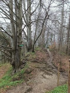 Photo de Daniela D le long du parcours