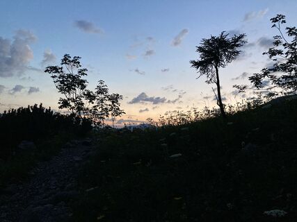 Morgenstimmung am Steiglweg