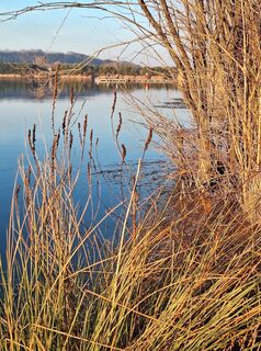 Photo de Mimi le long du parcours